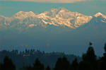 Landscape in Darjeeling