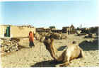 Small western Rajasthan village