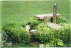 At an Aurobindo ashram guesthouse, 1996