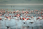 Ngorongoro Conservation Area