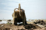 Serengeti National Park