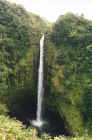 Akaka Falls