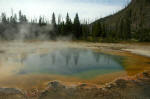 Steaming pool