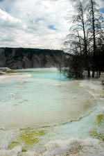 Travertines near Mammoth Hot Springs